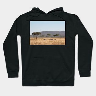 Plains Zebra, in the landscape, Serengeti National Park, Tanzania Hoodie